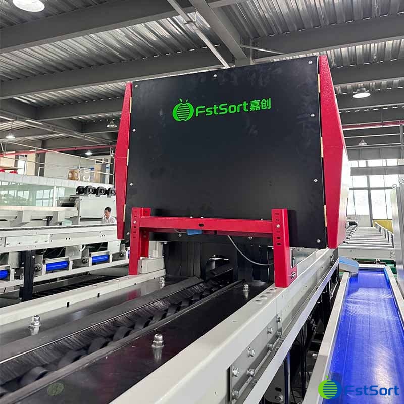 tomato optical sorter.jpg tomato optical sorter.jpg